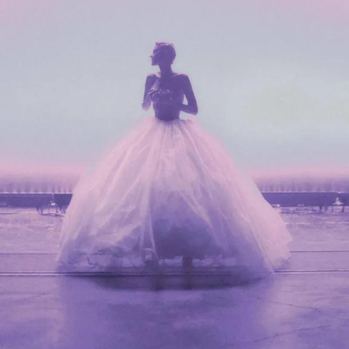    Рената Литвинова Соцсети