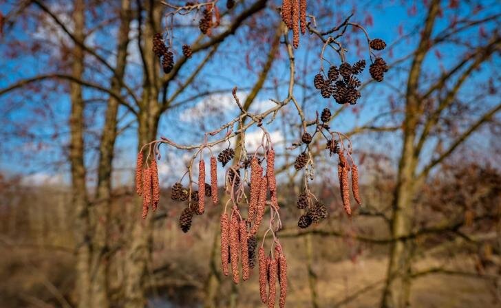    Юрий Еськов/Курские известия