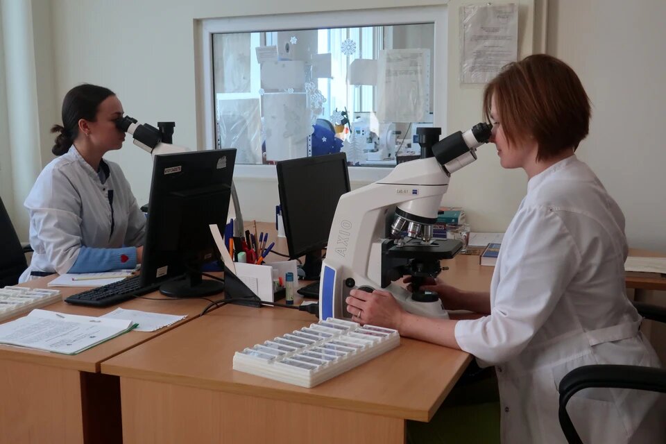    Уральские врачи начали исследовать тромбы, которые извлекают из мозга