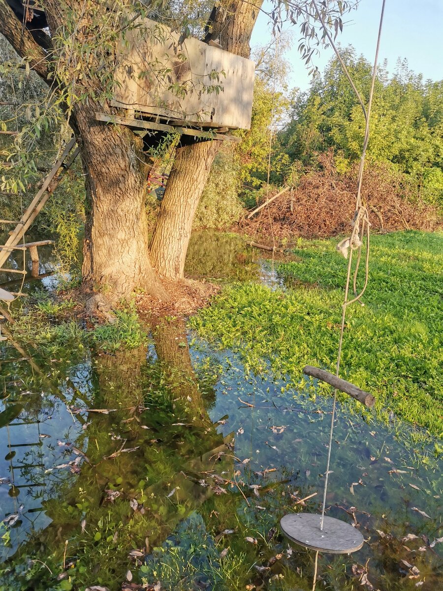 Заболоченый участок