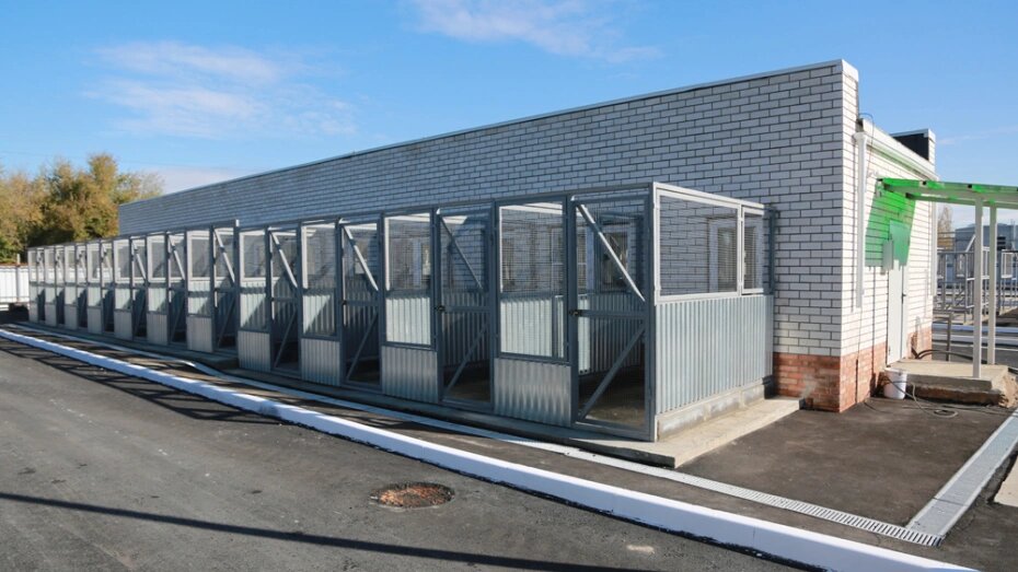    Автор фото: пресс-служба мэрии Воронежа