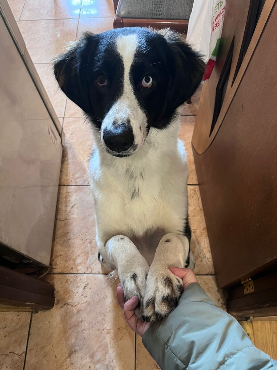 А теперь он вот такой!!