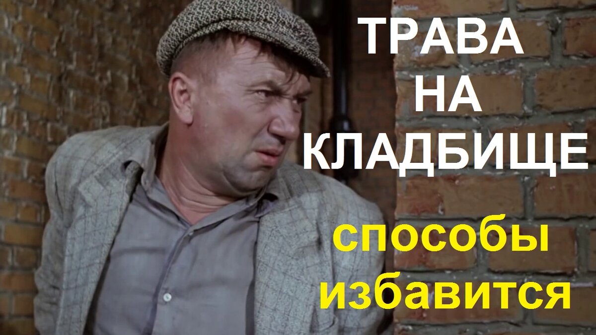 Как избавится от травы на могиле ? Несколько проверенных способов. |  МемориаЛТверь | Дзен