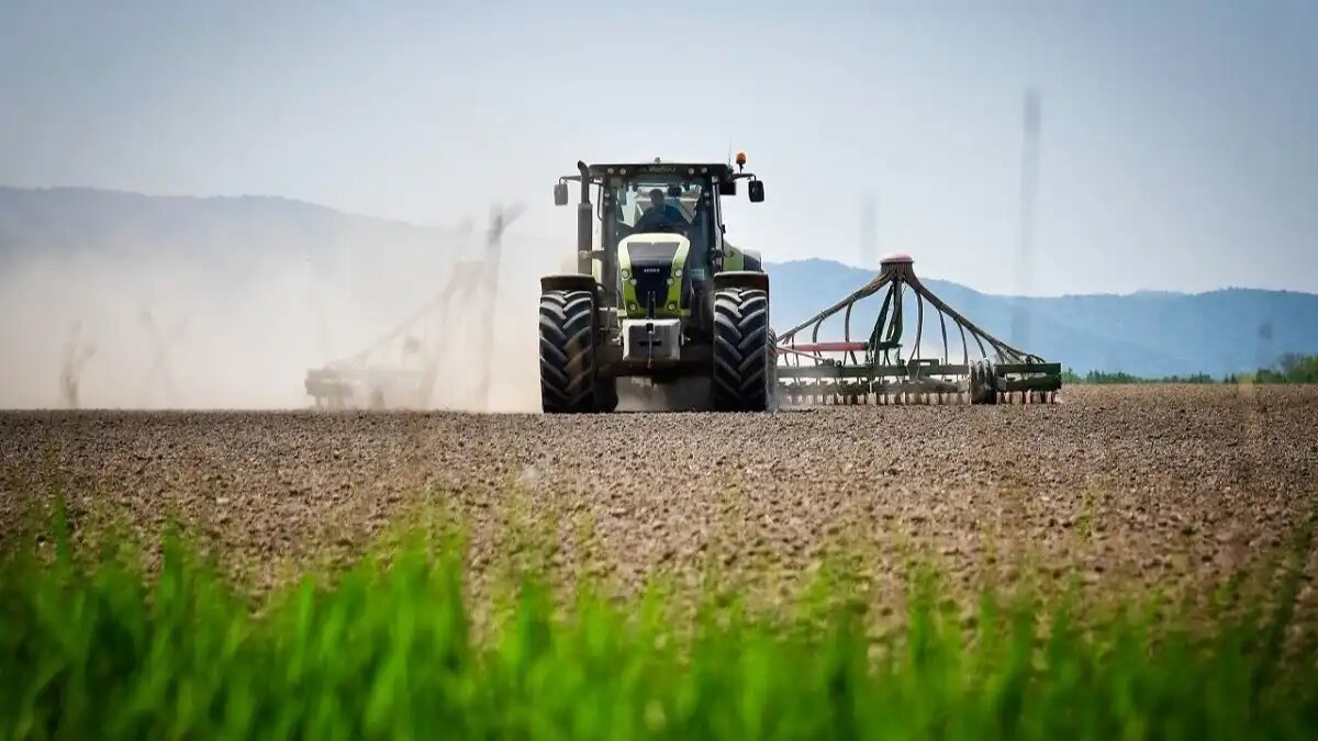 Фото:files.pravda-nn.ru Сев озимых зерновых в России завершен почти на 80%