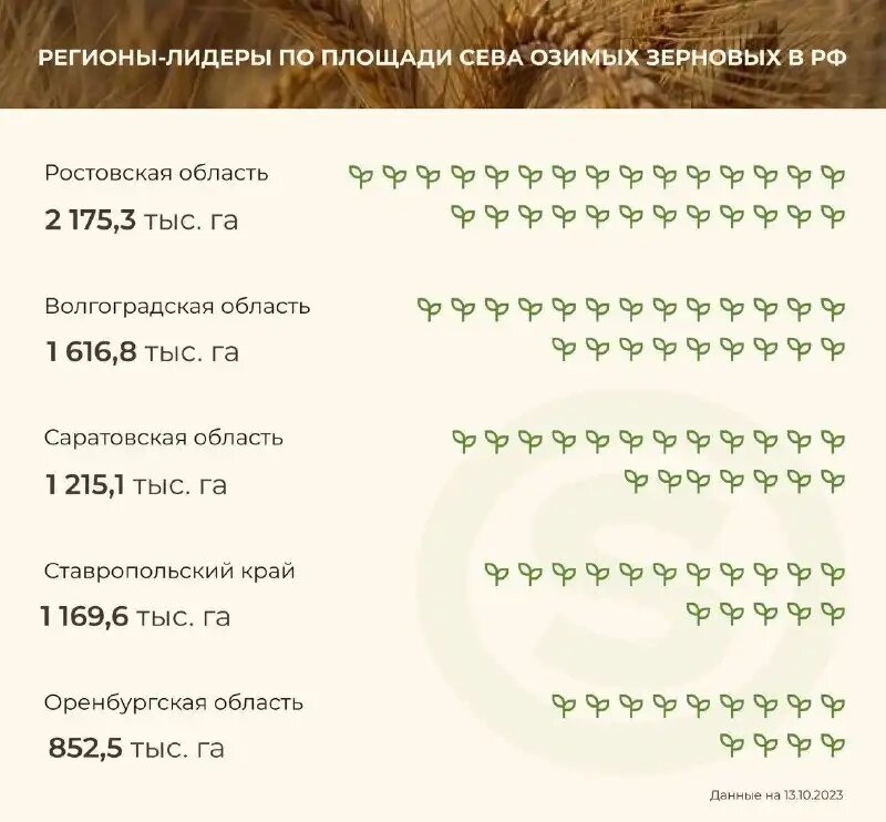 Регионы-лидеры по площади сева озимых зерновых в России в 2023 году (источник: telegram-канал RUSEED)