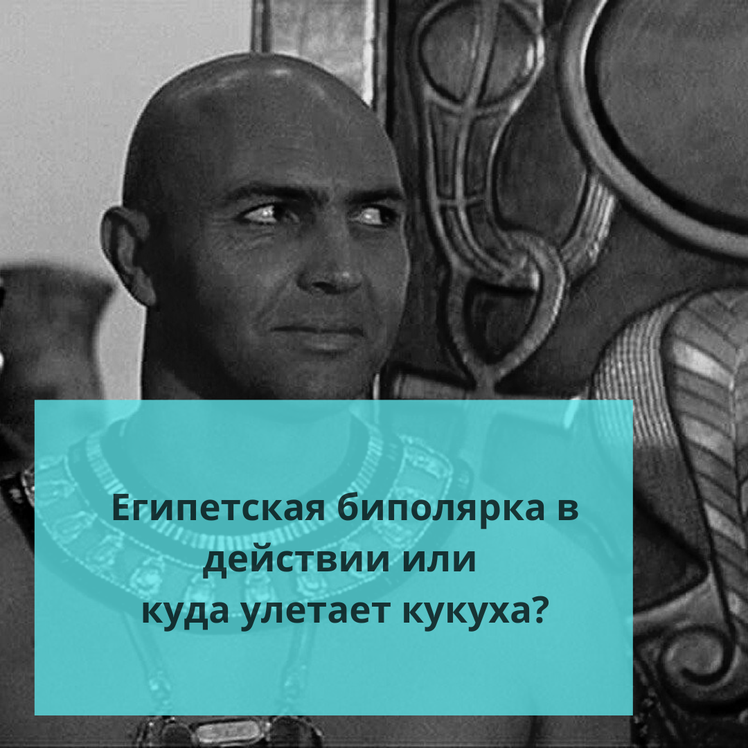 ⚠️Египетская биполярка в действии или куда улетает кукуха? | Ольга о Египте  🇪🇬 и не только | Дзен