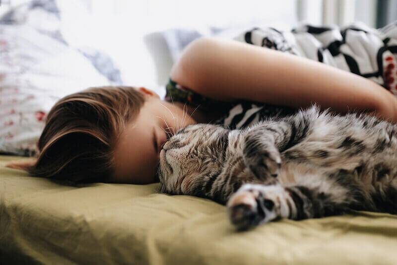 5 плюсов сна рядом с котом
