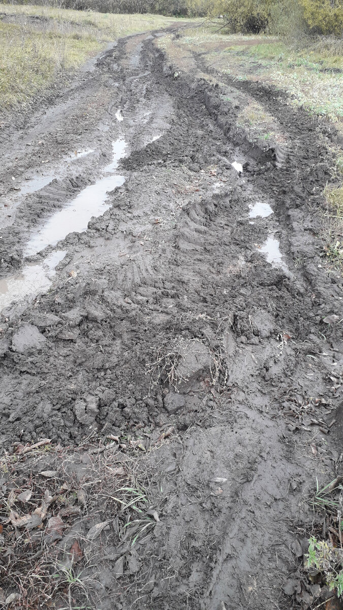 Какой-то и.д.и.о.т после дождя на тракторе проехал. Это не с нашей "улицы", наши стараются дорогу не разбивать. 