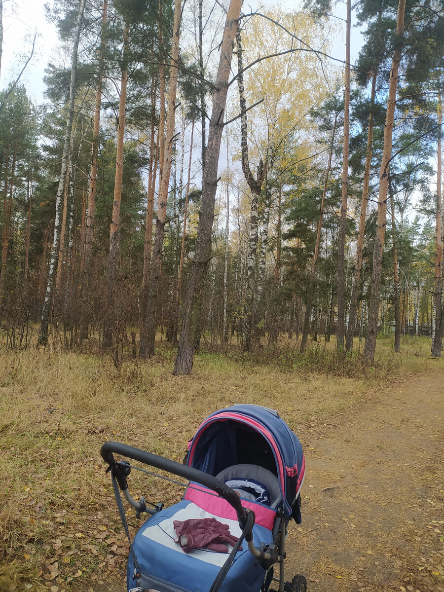 Природный лесопарк Кузьминки - Люблино | Летающая Черепаха | Дзен