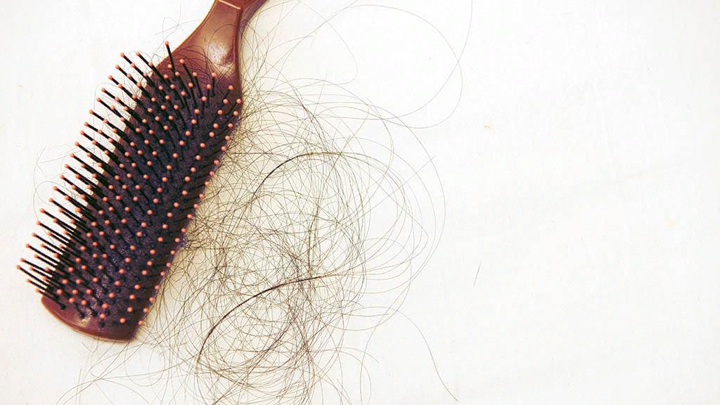 На самом деле мы можем терять до 100 волос в день
