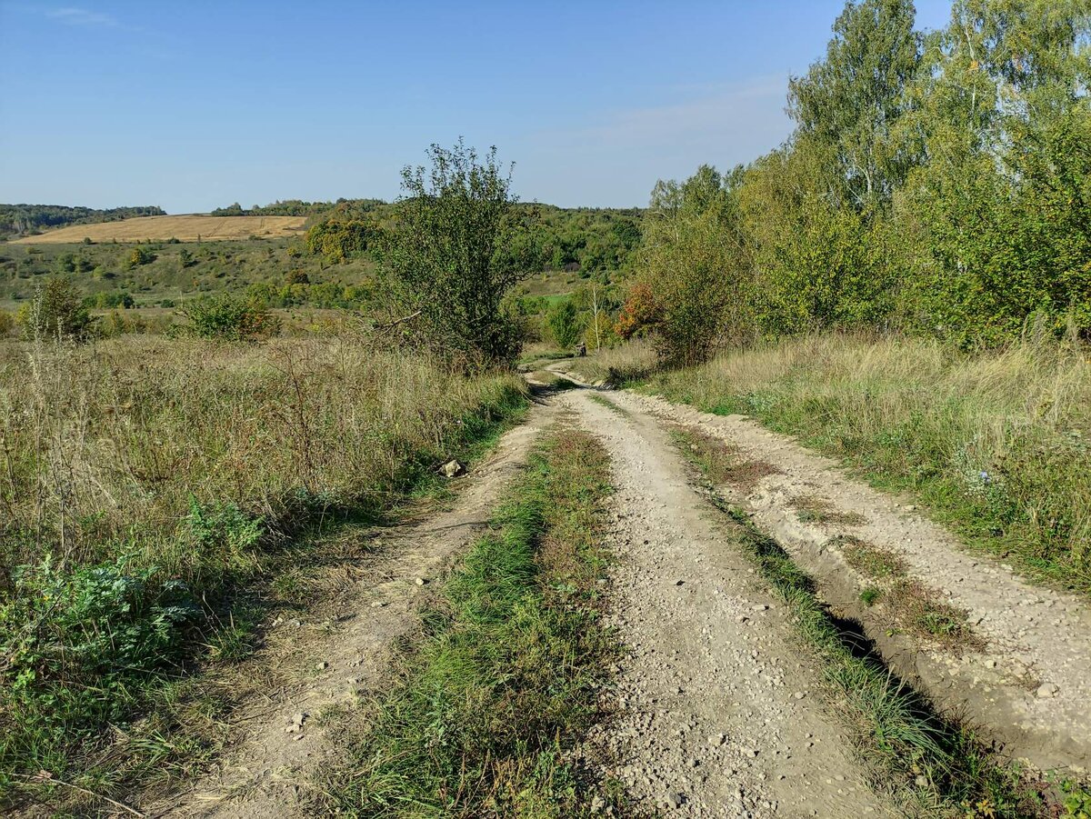 Как дела у отшельника Сергея Есенина. Побывали в деревне осенью. Показываю,  как живет и восстанавливает дом персонаж наших видео | МИР ПРОШЛОГО | Дзен