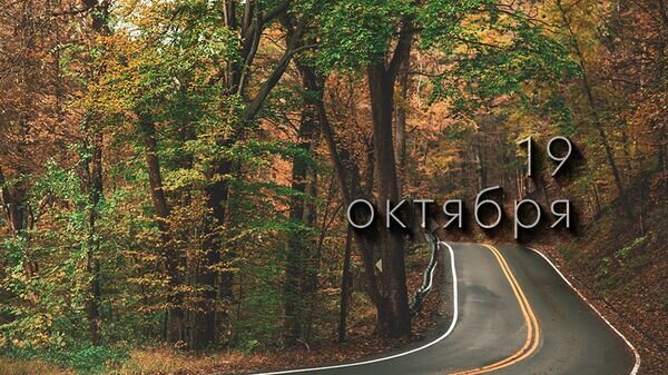    © Photo : Craig Adderley: Pexels