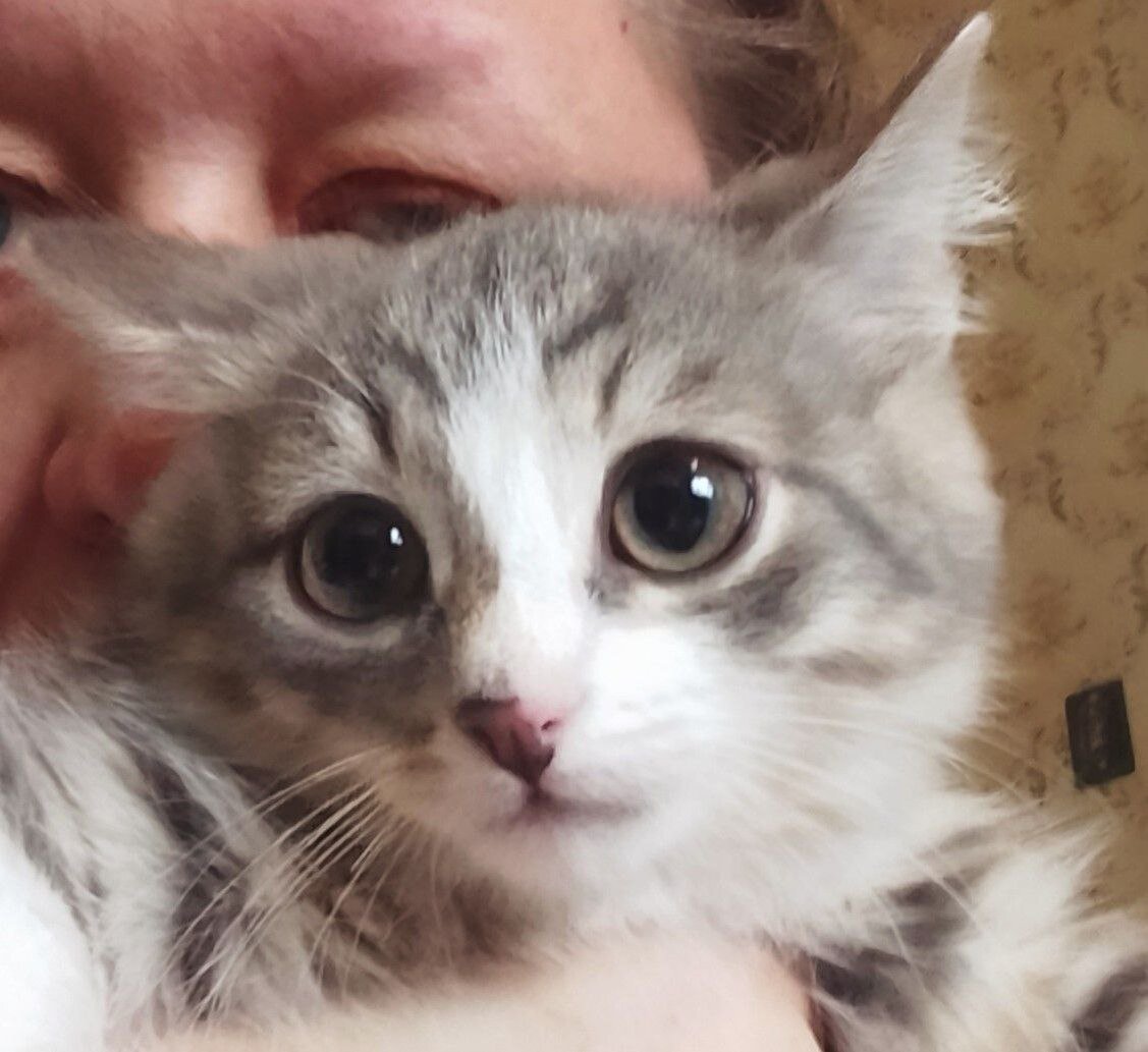 Дёмушка, 2 месяца, начинает искать дом