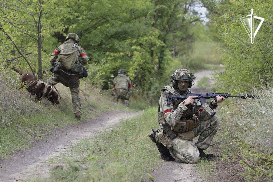 Гранаты и противопехотные мины обнаружили бойцы Росгвардии в схроне на территории ЛНР, источник – Телеграм-канал Росгвардия