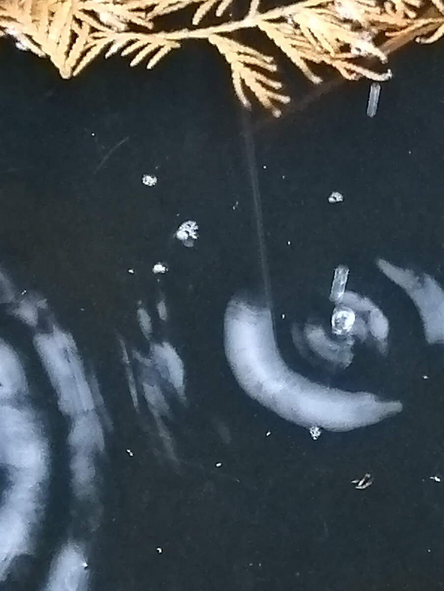 Даже если остальное "смазано", одна из "капель точно бывшая снежинка!