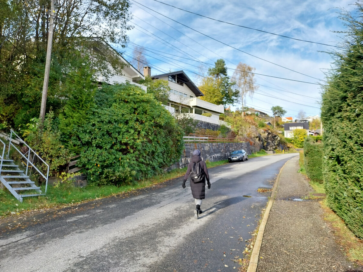 Дом Моники. Каркасник на окраине Ус.