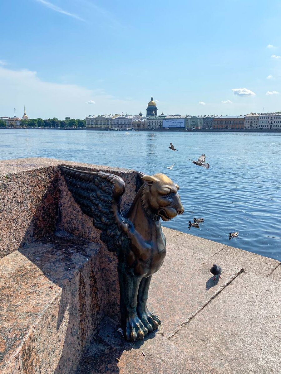 Памятники васильевского острова. Грифоны в Санкт-Петербурге на Университетской набережной. Грифоны на Университетской набережной. Путеводитель по Васильевскому острову. Грифоны на Университетской набережной исполняют желания.