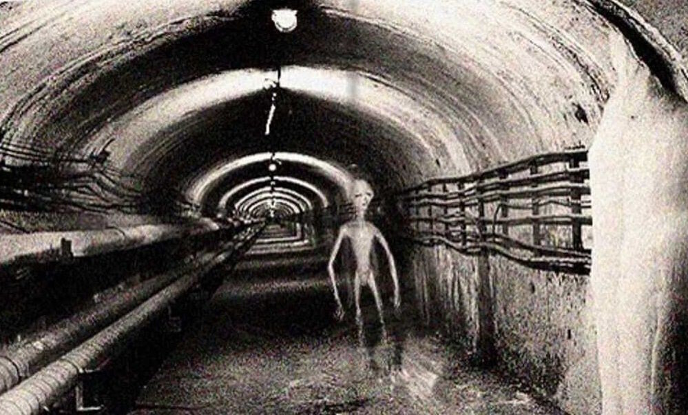 Снимок, показанный Филом Шнайдером.
Источник фото: http://www.the-submarine.ru/images/topics/photos/b/2015/07/3699_1_1435916826_296.jpg