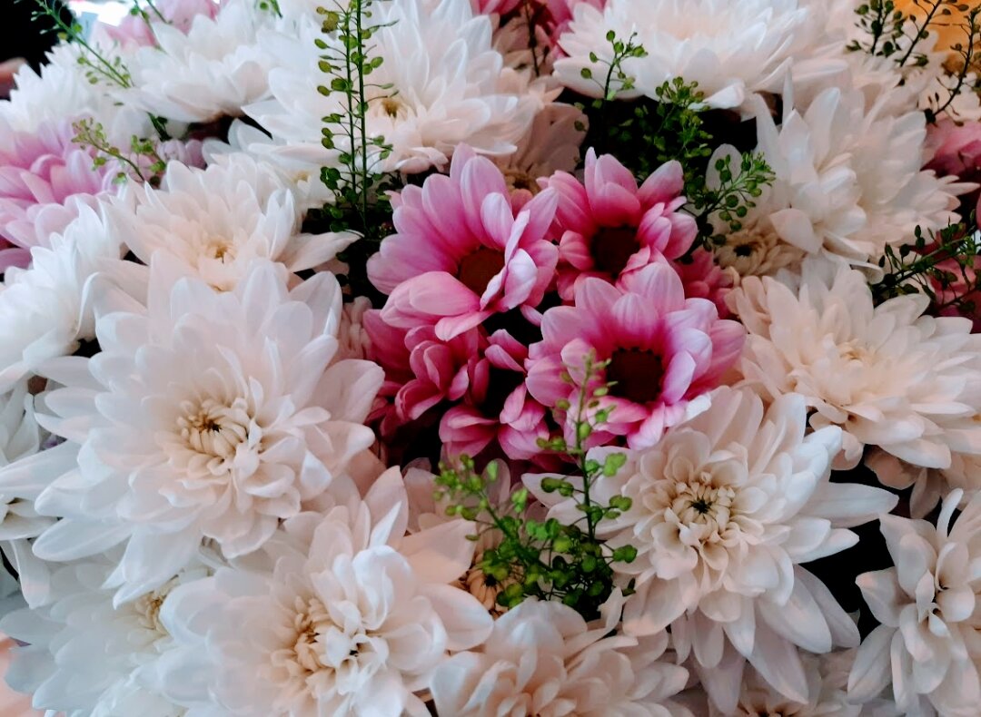 Фото автора канала