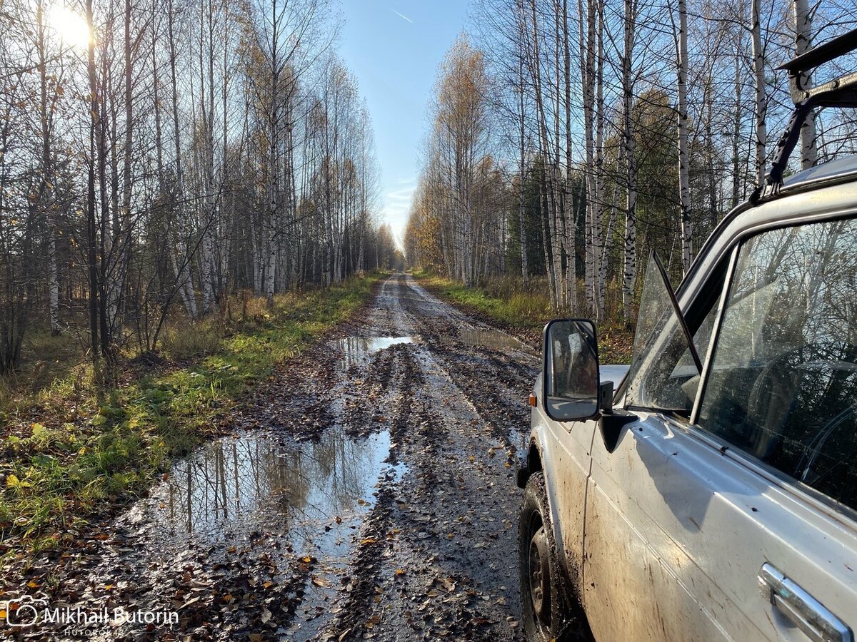 Похоронен», но не «умер». Опустевший починок с каменными домами, куда ещё  возвращаются люди | Вятский Хутор | Дзен