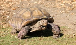    Фото: freepik.com/vwalakte Анна Полякова