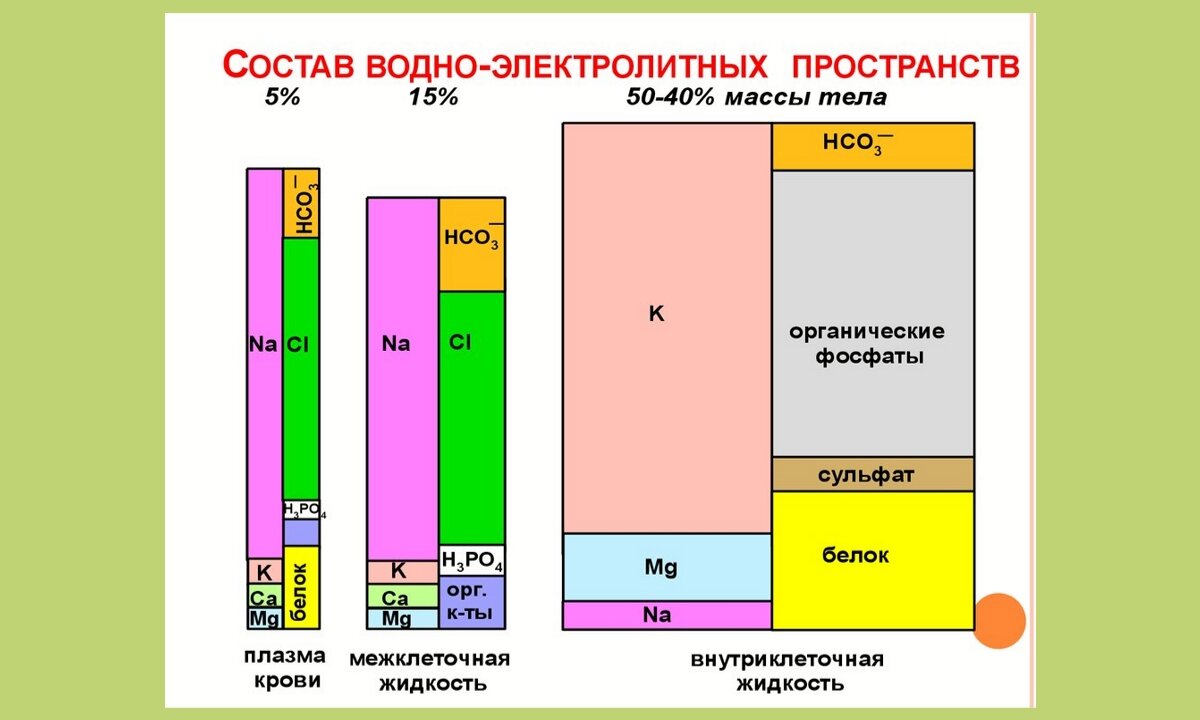 Масса пространства. Состав водно-электролитных пространств. Распределение электролитов в организме. Распределение жидкости в организме по секторам. Водные сектора организма.