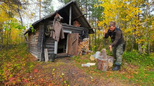 ТАЁЖНАЯ ИЗБУШКА ЗАТЕРЯННАЯ В ДИКИХ БОЛОТАХ. ЖИВЁМ В ИЗБЕ. СОБАКА ПОМОЩНИК. СБОР КЛЮКВЫ. ЗАГОТОВИЛ ДРОВ.