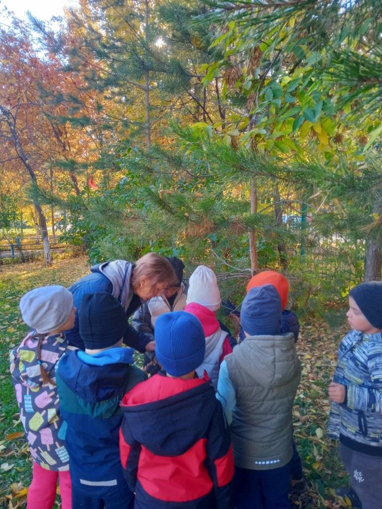 Знакомим детей с неживой природой осенью | Логопед о детях | Дзен