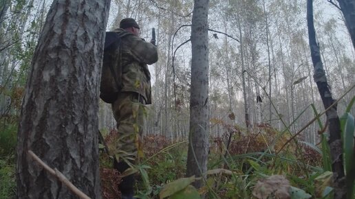 В поисках Трофейного быка Марала