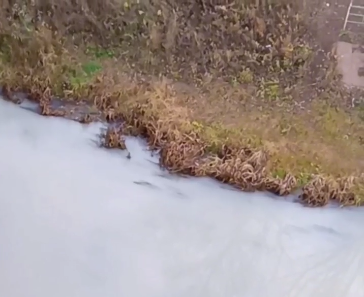    Кто мутит воду: В Бугуруслане река Кинель окрасилась в белый цвет Белов Михаил Александрович