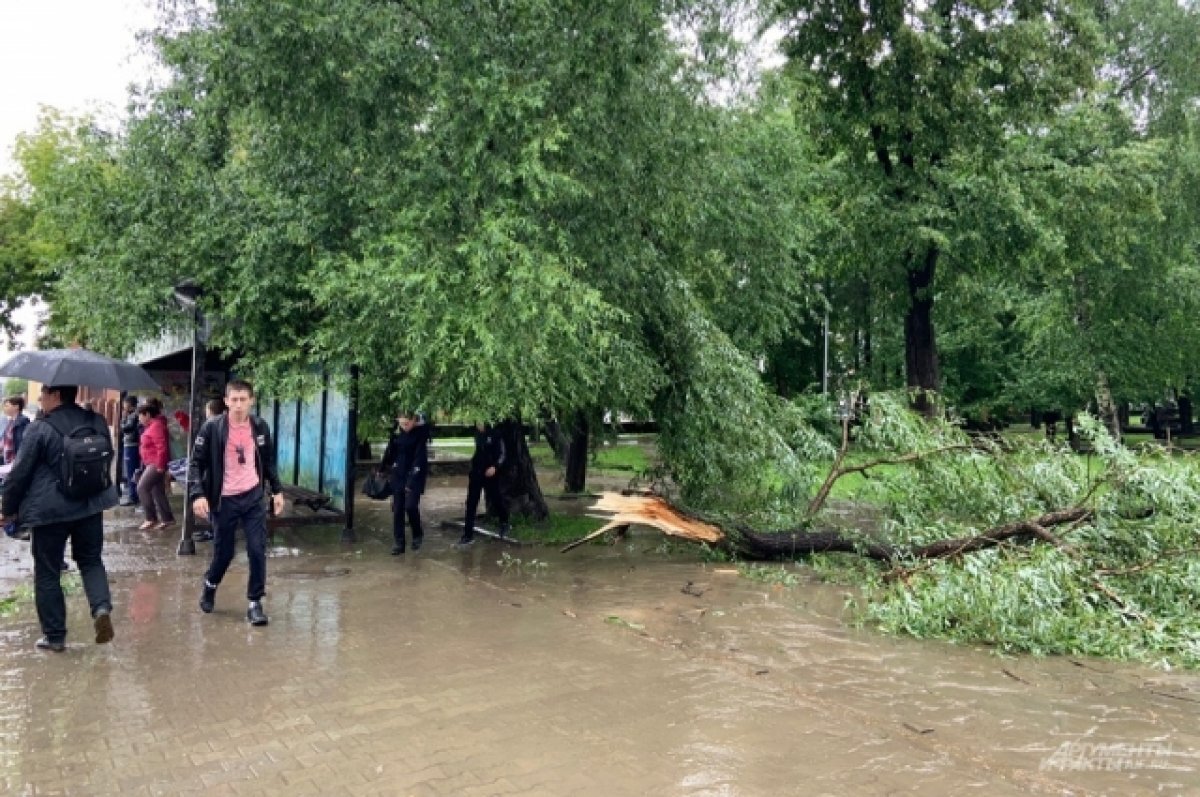    Во время прохождения штормового циклона в Прикамье ветер поднялся до 22 м/с
