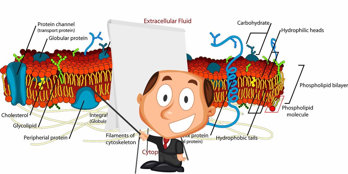 Про флувалинат