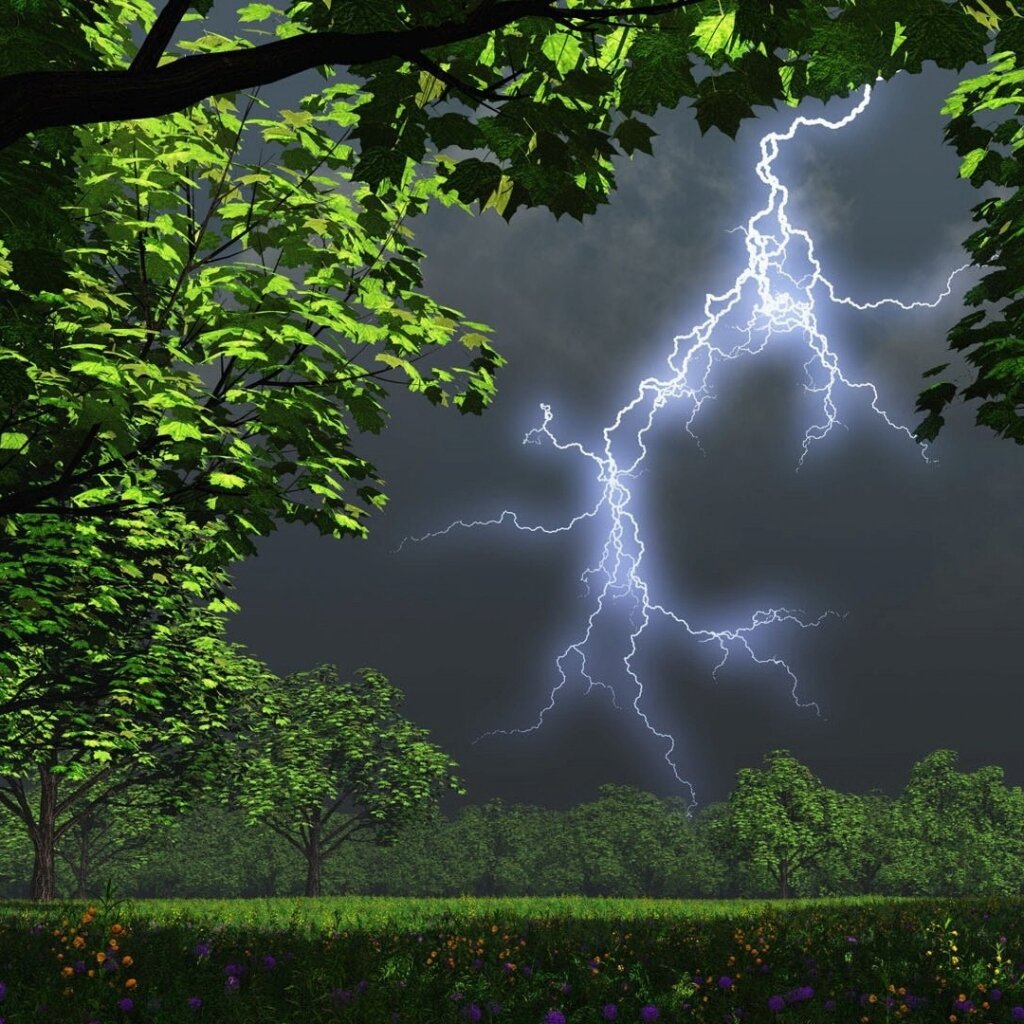 Фото из интернета 