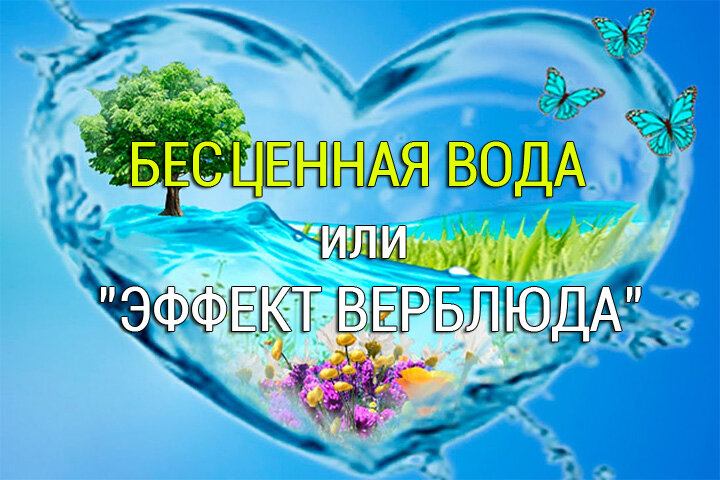 Мало что в мире дороже чистой питьевой воды.
