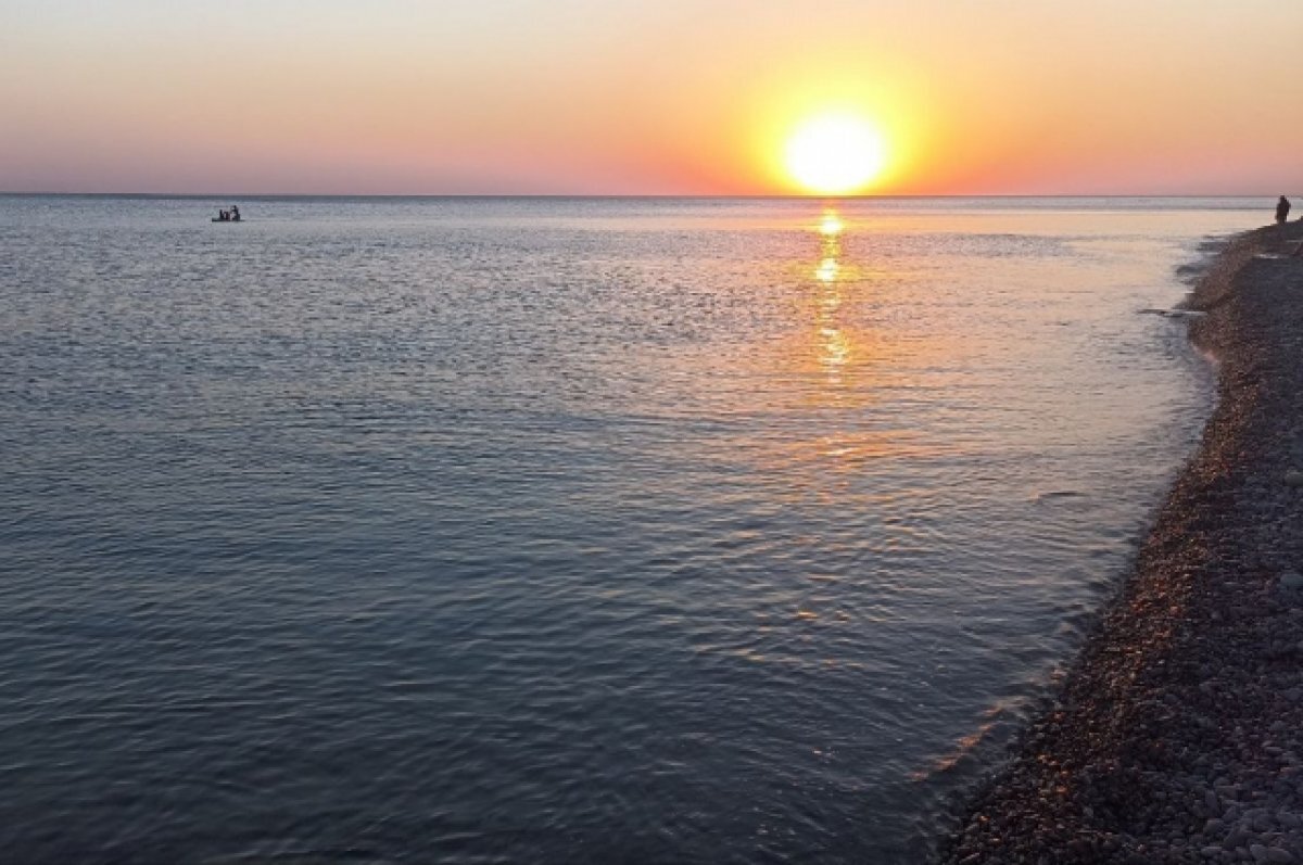    В Приморье заметили оленя, плавающего в море
