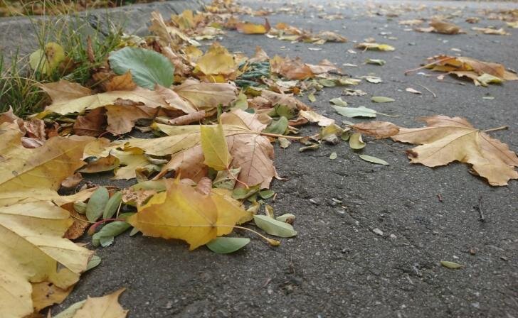    фото из архива Курских известий