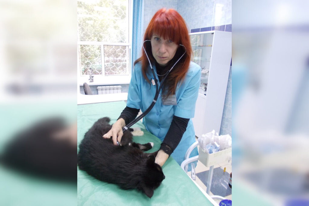 За годы ветеринарной практики она лечила медведей, принимала роды у косули, помогала и помогает поправиться грызунам, кошкам, собакам.-2