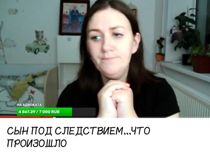 Скрин с Ютуб канала блогера Деревенский дневник очень многодетной матери.