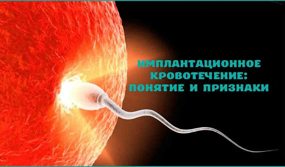 Признаки беременности - Клиника Здоровье г. Екатеринбург