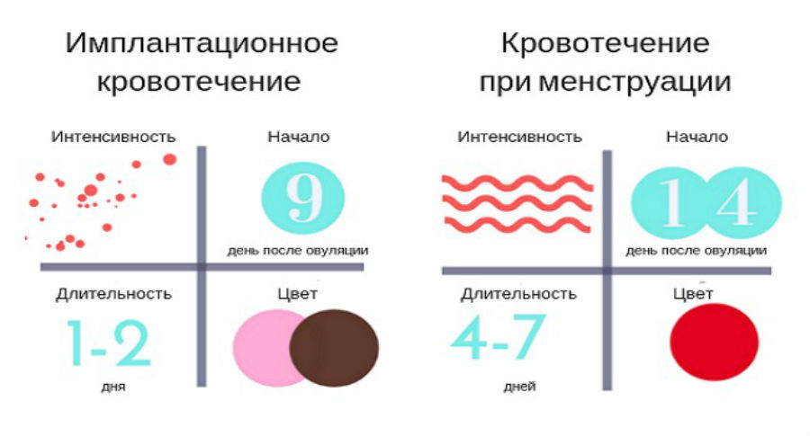 Как отличить месячные на ранних. Имплантационноеткроыотечение. Иплационое кровотечения. Импантационноекровотечение. «Имплантацион кровотечение.