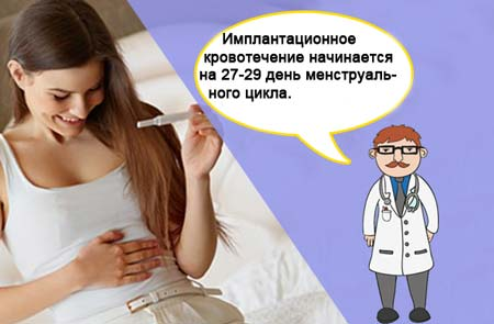 Имплантационное кровотечение — 14 ответов | форум Babyblog