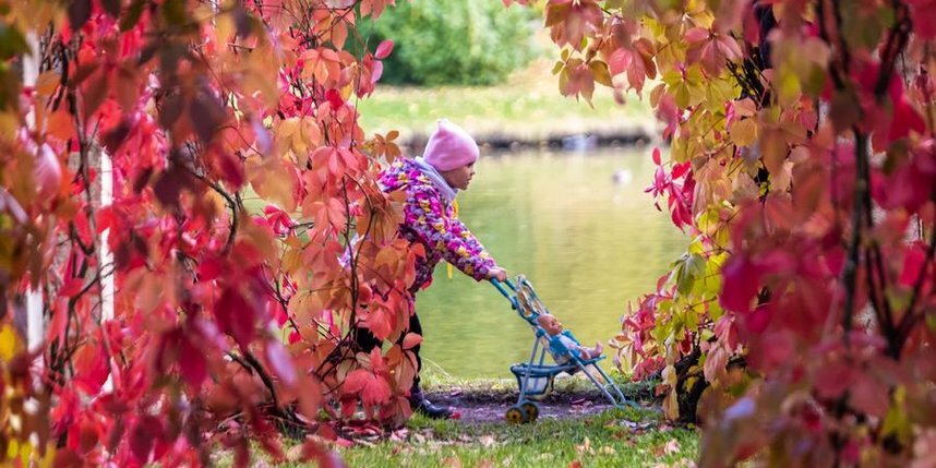    Фото: Алена Бобрович.
