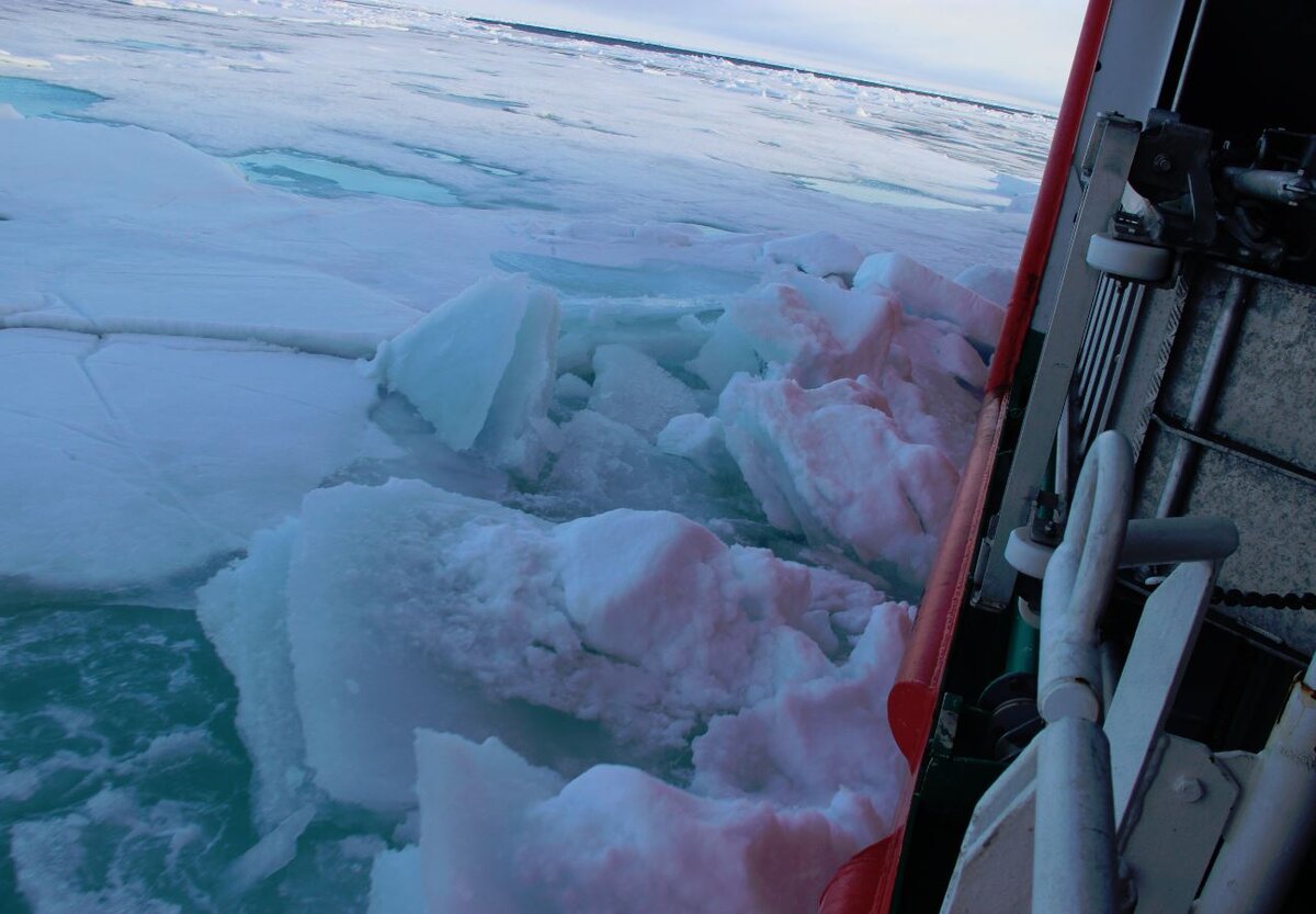  Фото от членов РПСМ, работающих в Арктике.