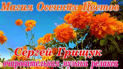 Магия осенних цветов очаровательная музыка для души и сердца Сергея Грищука