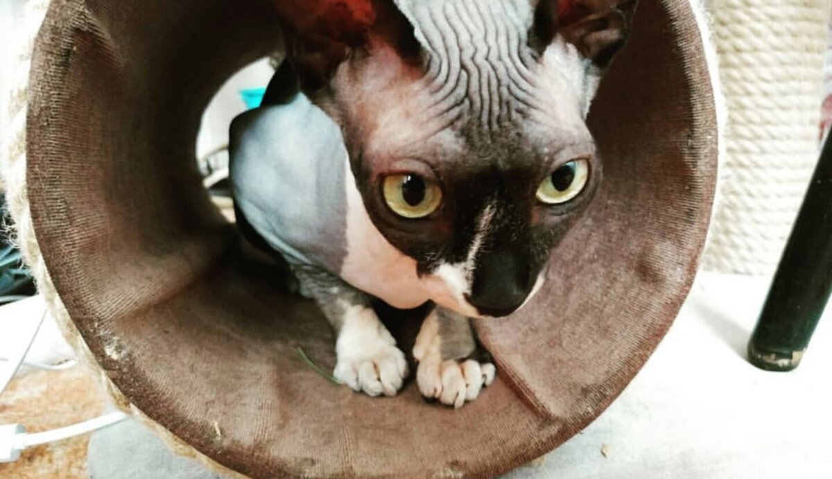 Из домашнего архива