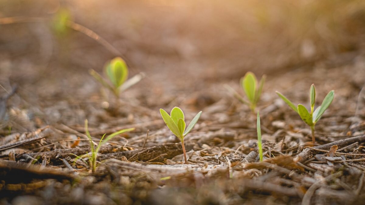    Фото: Julian Paolo Dayag / Unsplash Август Макаров