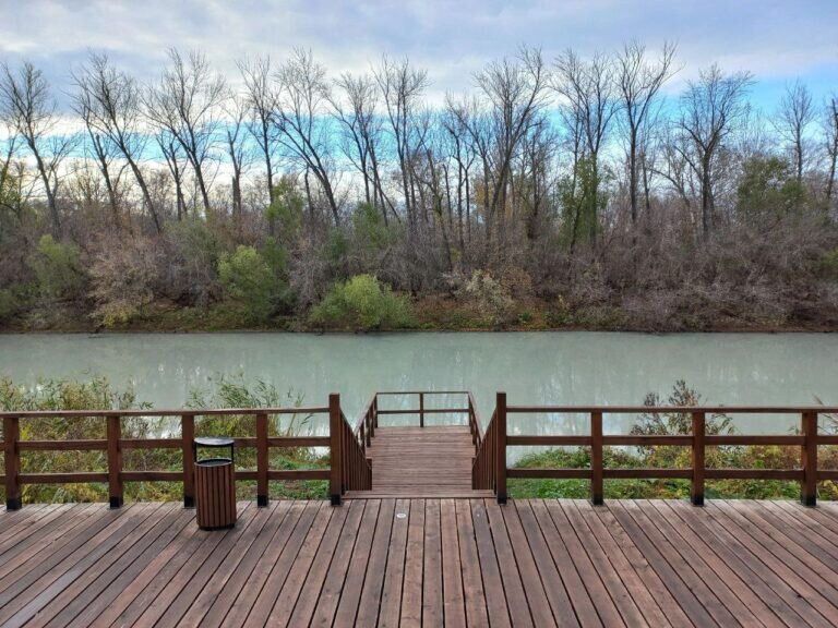    Дмитрий Дьяченко: река Кинель окрасилась в белый цвет из-за нефтепродуктов Андрей Севостьянов