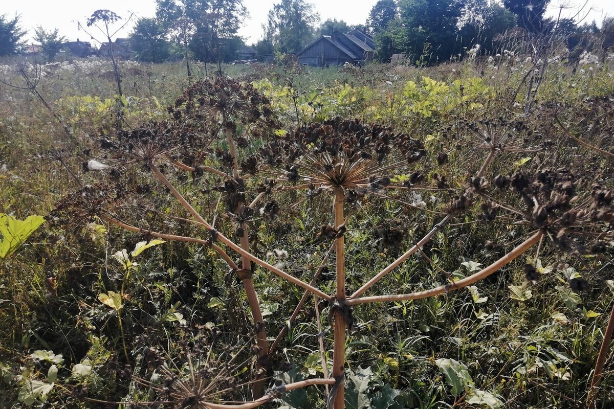 Фото: пресс-служба Правительства Владимирской области