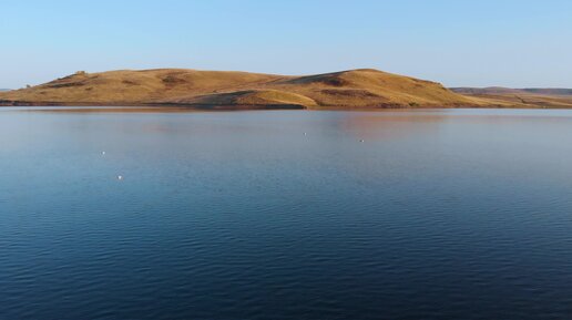 ВОДЫ НЕТ И РЫБЫ НЕТ