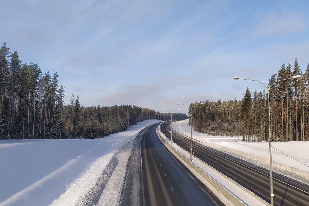 Фото: Максим Константинов/Globallookpress